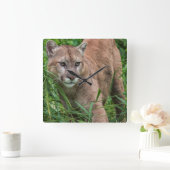 USA, Minnesota, Sandstein, Minnesota-wild lebende Quadratische Wanduhr (Zuhause)