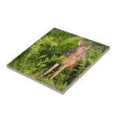 USA, Minnesota, Sandstone, Minnesota Wildlife 10 Fliese (Seite)