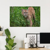 USA, Minnesota, Sandstone, Minnesota Wildlife 18 Poster (Heimbüro)