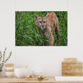 USA, Minnesota, Sandstone, Minnesota Wildlife 18 Poster (Küche)