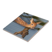 USA, Minnesota, Sandstone, Minnesota Wildlife 19 Fliese (Seite)