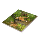 USA, Minnesota, Sandstone, Minnesota Wildlife Fliese (Seite)