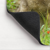 USA, Minnesota, Sandstone, Minnesota Wildlife Mousepad (Ecke)