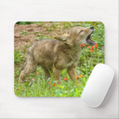 USA, Minnesota, Sandstone, Minnesota Wildlife Mousepad (Mit Mouse)