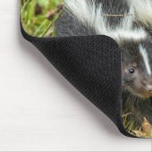 USA, Minnesota, Sandstone, Minnesota Wildlife Mousepad (Ecke)