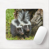 USA, Minnesota, Sandstone, Minnesota Wildlife Mousepad (Mit Mouse)