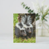 USA, Minnesota, Sandstone, Minnesota Wildlife Postkarte (Stehend Vorderseite)