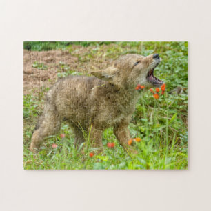 USA, Minnesota, Sandstone, Minnesota Wildlife Puzzle