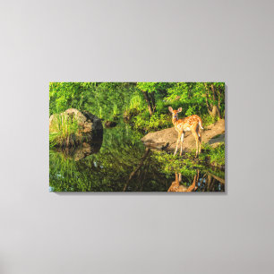 USA, Minnesota, Sandstone, Minnesota-Wildtiere Leinwanddruck