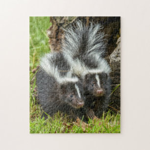 USA, Minnesota, Sandstone, Minnesota-Wildtiere Puzzle