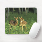 USA, Minnesota. Weißschwanz 2 Mousepad (Mit Mouse)