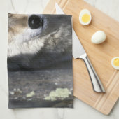 USA, Minnesota. Wolf Canis Handtuch (Viertel Falte)