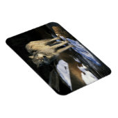 USA, Minnesota. Wolf (Canis Magnet (Rechte Seite)