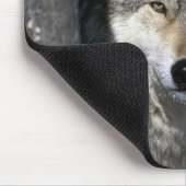 USA, Minnesota. Wolf Canis Mousepad (Ecke)