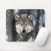 USA, Minnesota. Wolf Canis Mousepad (Mit Mouse)
