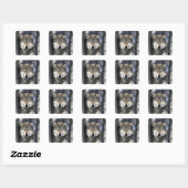 USA, Minnesota. Wolf Canis Quadratischer Aufkleber (Blatt)