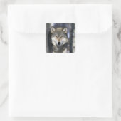 USA, Minnesota. Wolf Canis Quadratischer Aufkleber (Tasche)