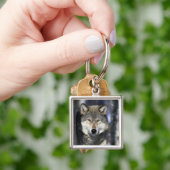 USA, Minnesota. Wolf Canis Schlüsselanhänger (Hand)