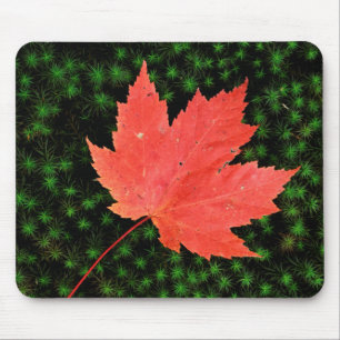USA, Missouri, Mark Twain National Forest Mousepad