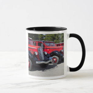 USA, Montana, East Glacier Park, Zugang zu Tasse