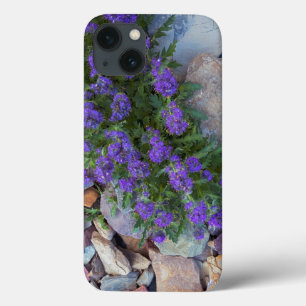 USA, Montana, Glacier National Park Case-Mate iPhone Hülle