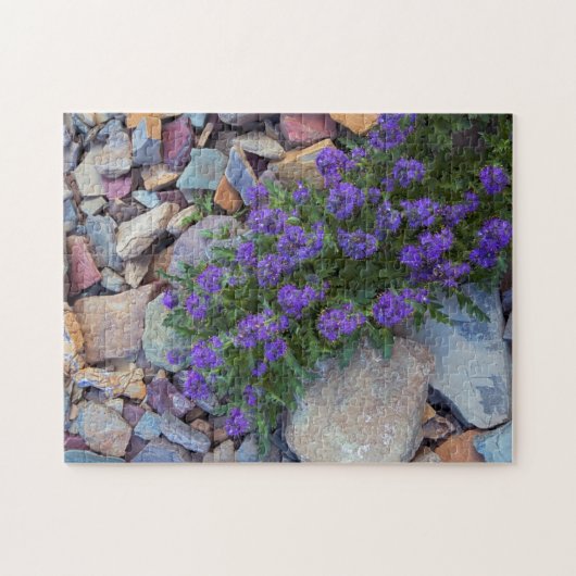 USA, Montana, Glacier National Park Puzzle (Horizontal)