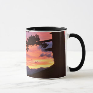 USA, Montana, Glacier-Nationalpark. Landschaft Tasse