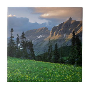 USA, Montana, Glacier-Nationalpark, Logan Pass Fliese