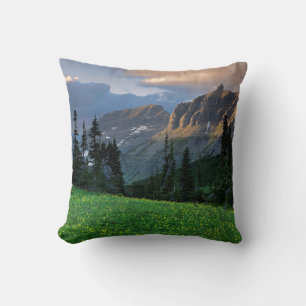 USA, Montana, Glacier-Nationalpark, Logan Pass Kissen