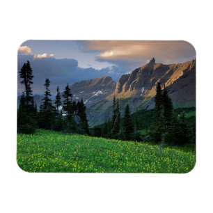 USA, Montana, Glacier-Nationalpark, Logan Pass Magnet