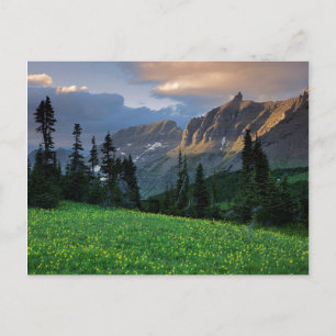 USA, Montana, Glacier-Nationalpark, Logan Pass Postkarte