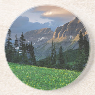 USA, Montana, Glacier-Nationalpark, Logan Pass Sandstein Untersetzer
