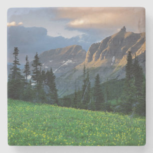 USA, Montana, Glacier-Nationalpark, Logan Pass Steinuntersetzer
