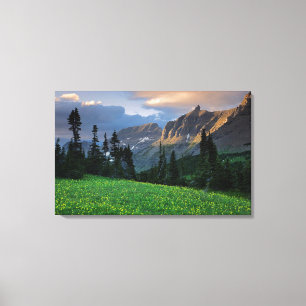 USA, Montana, Gletscher National Park, Logan Pass Leinwanddruck