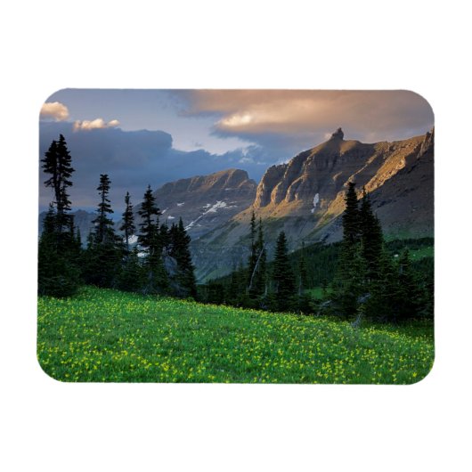 USA, Montana, Gletscher National Park, Logan Pass Magnet (Horizontal)
