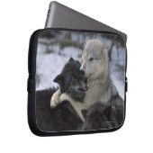 USA, Montana, Wolfen im Schnee Laptopschutzhülle (Vorne Rechts)
