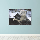 USA, Montana, Wolfen im Schnee Leinwanddruck (Insitu (Holzboden))