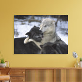 USA, Montana, Wolfen im Schnee Leinwanddruck (Insitu (Wohnzimmer))