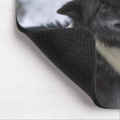 USA, Montana, Wolfen im Schnee Mousepad (Ecke)