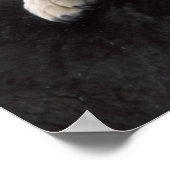 USA, Montana, Wolfen im Schnee Poster (Ecke)