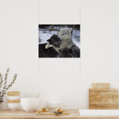 USA, Montana, Wolfen im Schnee Poster (Küche)