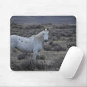 USA MOUSEPAD (Mit Mouse)