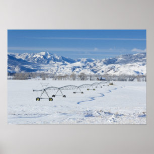 USA, MT, Farm bei Livingston Poster