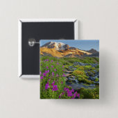 USA, Mt. Rainier Nationalpark, Washington. Button (Vorne & Hinten)