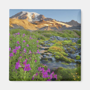 USA, Mt. Rainier Nationalpark, Washington. Magnet