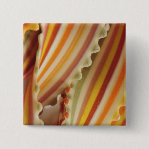 USA. Nahaufnahme von getrockneten Regenbogen-Pasta Button