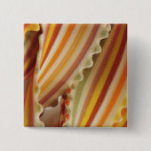 USA. Nahe Aufbereitung getrockneter Regenbogenbei Button (Vorderseite)