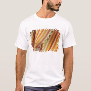  USA. Nahe Aufbereitung getrockneter Regenbogenbei T-Shirt