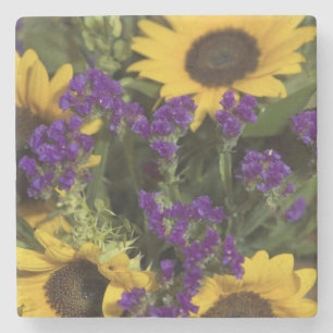 USA, naher Aufbau einer Regelung für die Blume von Steinuntersetzer