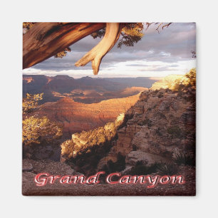USA Nationalpark Grand Canyon - Panorama Magnet